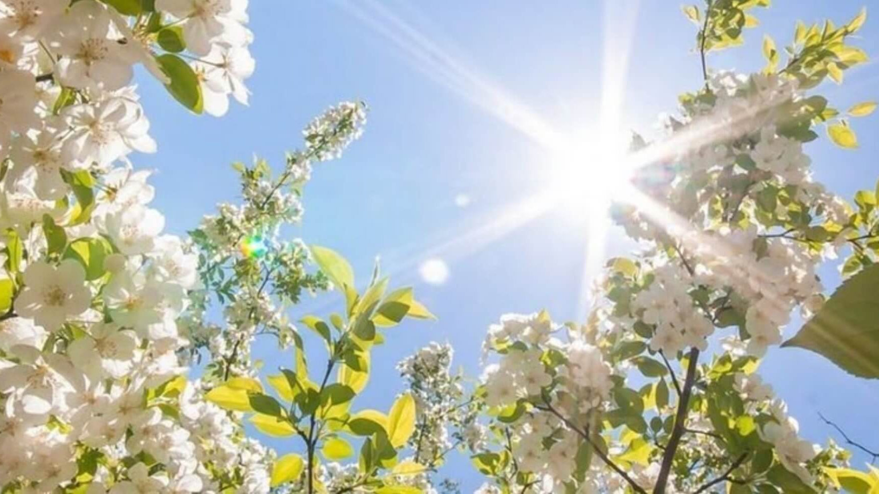 Redness and dryness on the face caused by seasonal allergies, with tips on how to protect sensitive skin.
