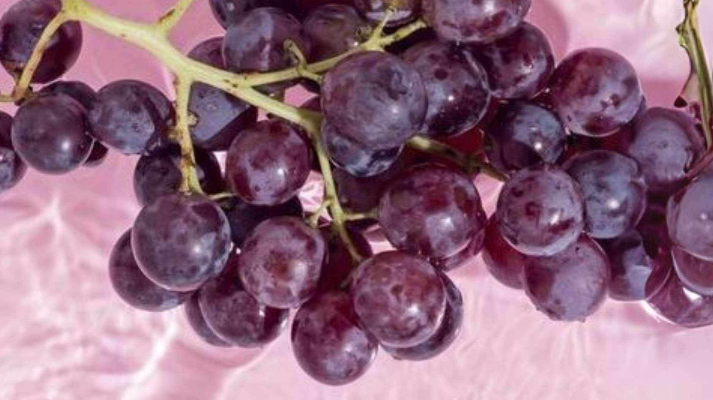 The Role of Antioxidants in Skincare: Why You Need Them in Your Routine