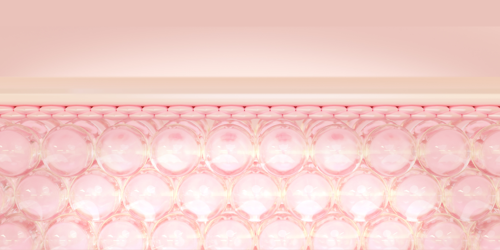 Skin Cellular Turnover: What Is It and Why Is It Important?