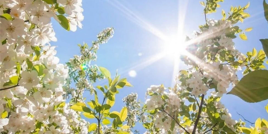 Redness and dryness on the face caused by seasonal allergies, with tips on how to protect sensitive skin.