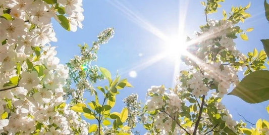Redness and dryness on the face caused by seasonal allergies, with tips on how to protect sensitive skin.
