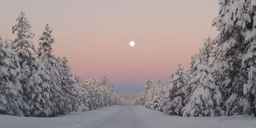 Winter Skin Survival Guide