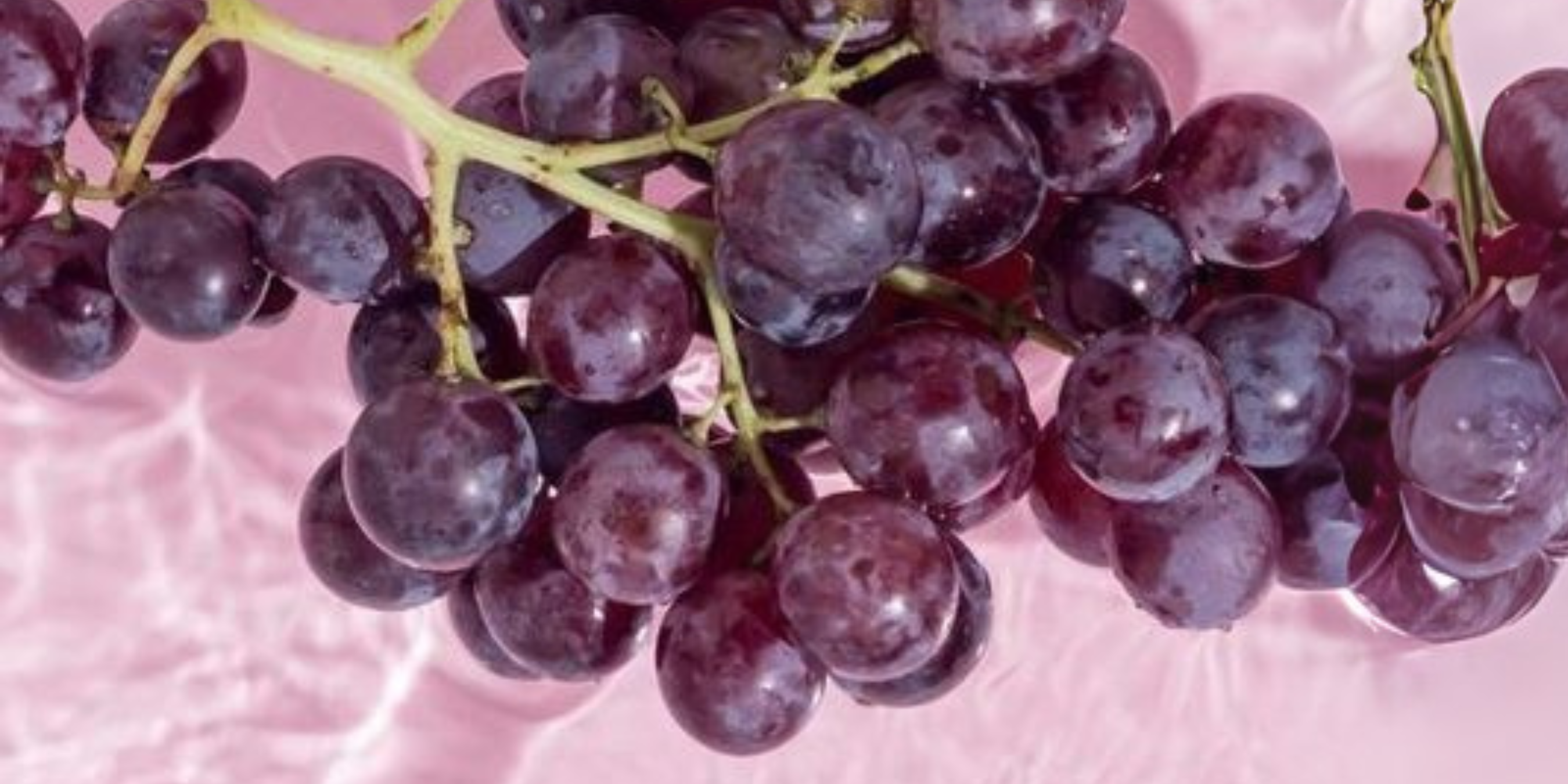 The Role of Antioxidants in Skincare: Why You Need Them in Your Routine